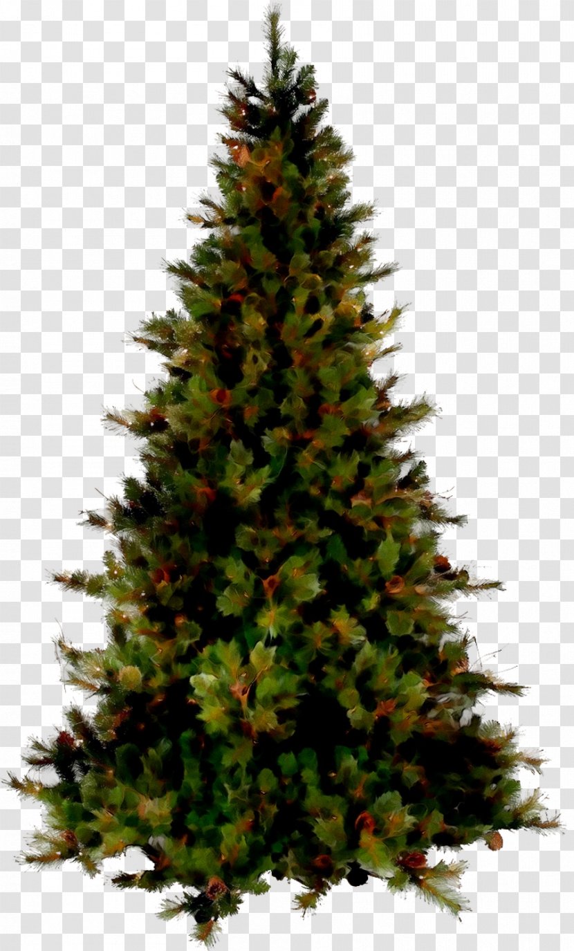 Christmas Tree Image Day Vector Graphics - Decoration - Yellow Fir Transparent PNG