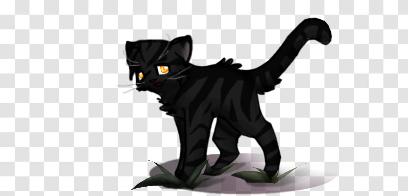 Black Cat Warriors Darkstripe Erin Hunter - Line Art Transparent PNG