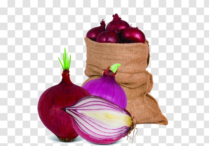 Red Onion Shallot Vegetable Garlic Food - Material Transparent PNG