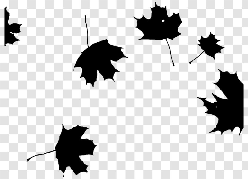Autumn Leaf Color Maple Clip Art - Monochrome Transparent PNG