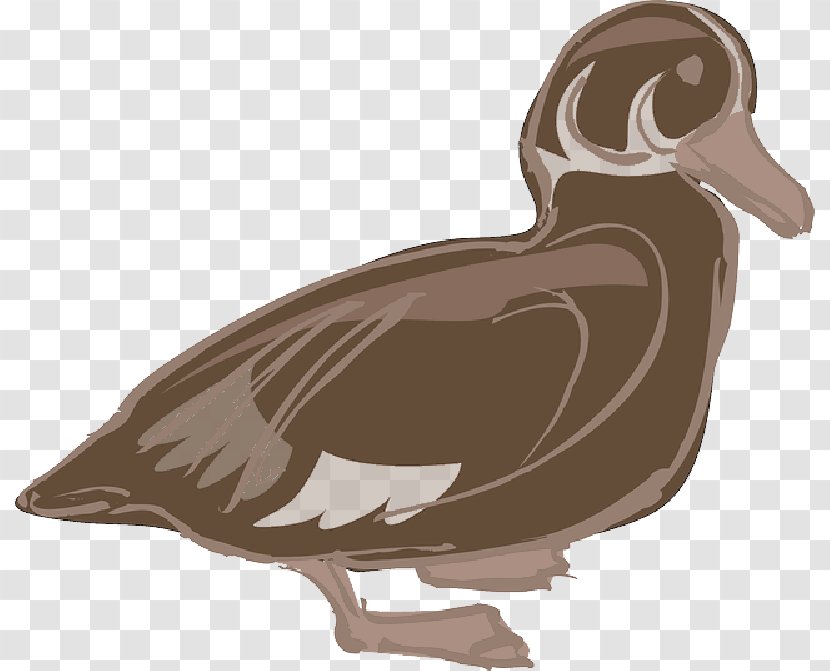 Domestic Duck Chicken Clip Art Bird - Poultry - Hazy Transparent PNG