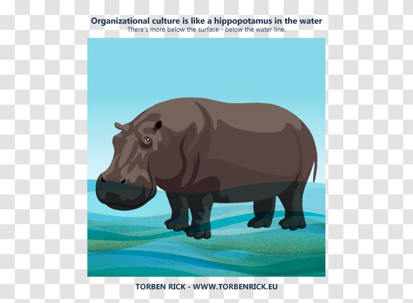Hippopotamus Rhinoceros Cat Terrestrial Animal Organizational Culture - Water Illustration Transparent PNG