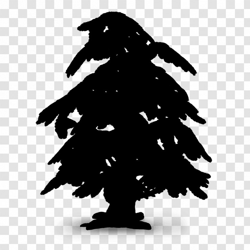 Beak Pine Family Silhouette - Plant - Conifer Transparent PNG
