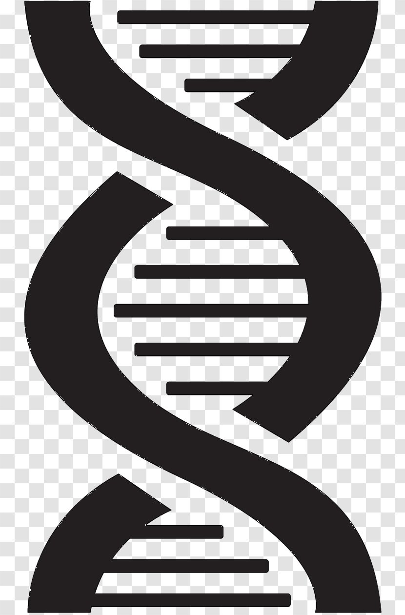 Nucleic Acid Double Helix Backstreet Boys DNA Vector Graphics Transparent PNG