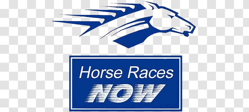 Horse Racing Hialeah Park Race Track Gulfstream Transparent PNG