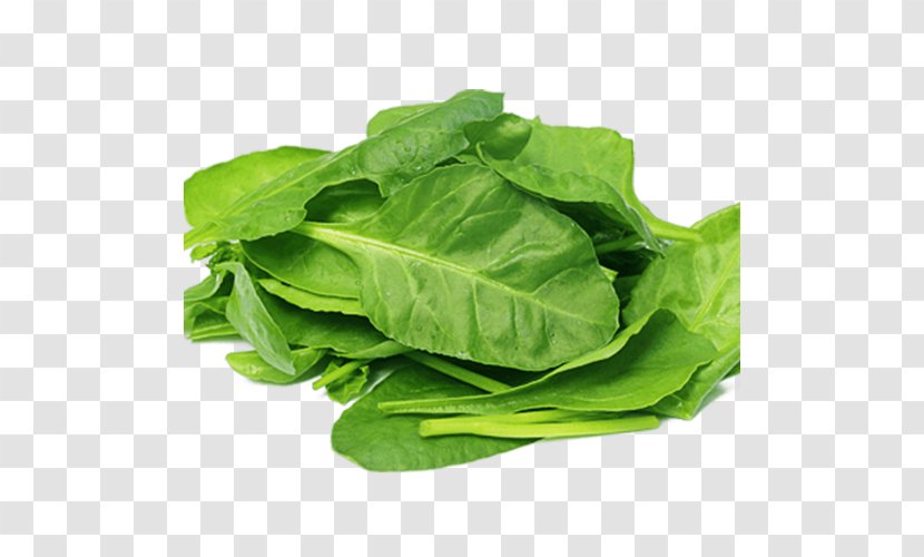Organic Food Spinach Salad Nutrient Leaf Vegetable Transparent PNG