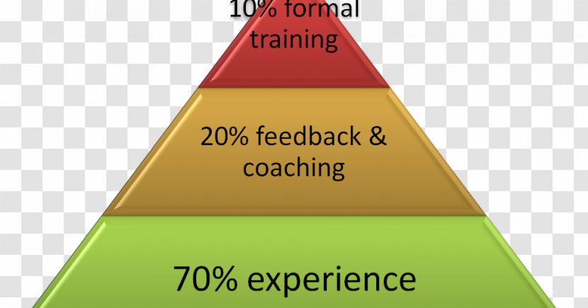 Social Class Stratification Racial Hierarchy Society - Racism - Learning Transparent PNG