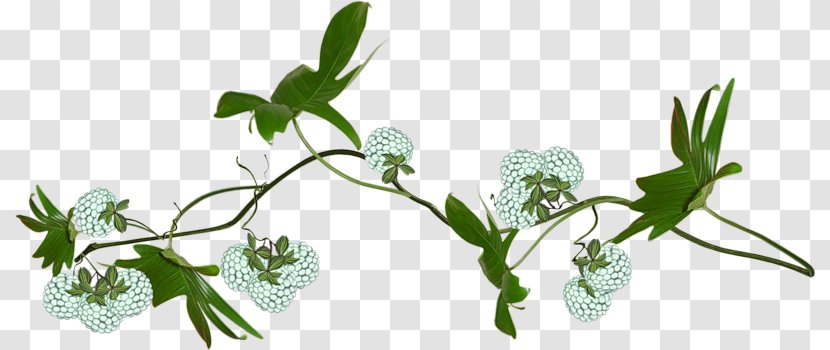 Cut Flowers Leaf Floral Design Plant Stem - Flora Transparent PNG