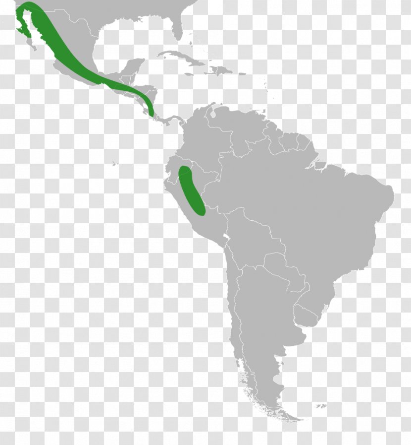 Latin America South United States Subregion - Map Transparent PNG