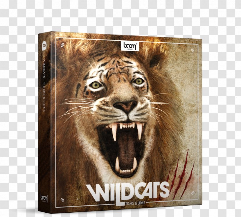 Lion Tiger Roar Sound Effect Frame Lions Transparent Png