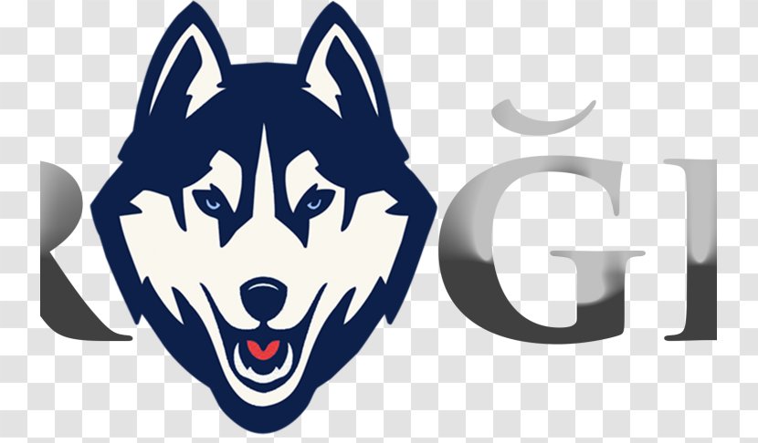 University Of Connecticut Huskies Football Men's Basketball Women's NCAA Division I Bowl Subdivision - American Transparent PNG