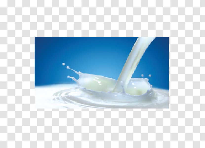 A2 Milk Dairy Products - Cheese Transparent PNG