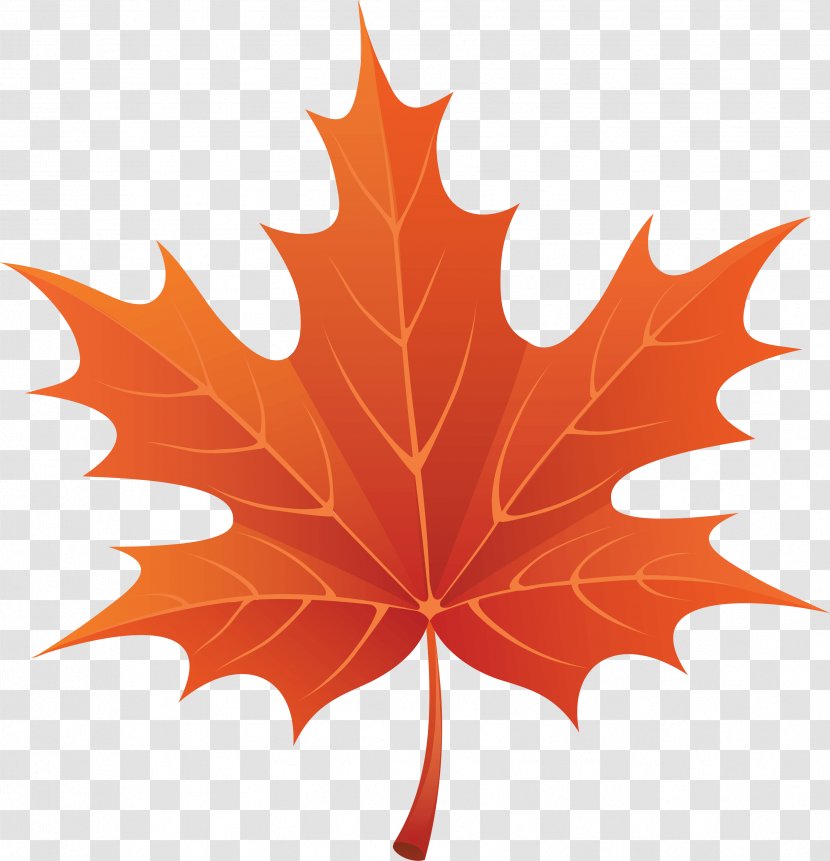Autumn Leaf Color Clip Art - Pattern - Maple Transparent PNG