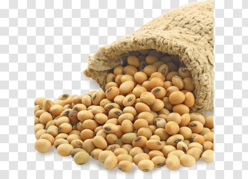 Soybean Meal Vegetarian Cuisine Food Lecithin - Commodity - Ingredient Transparent PNG