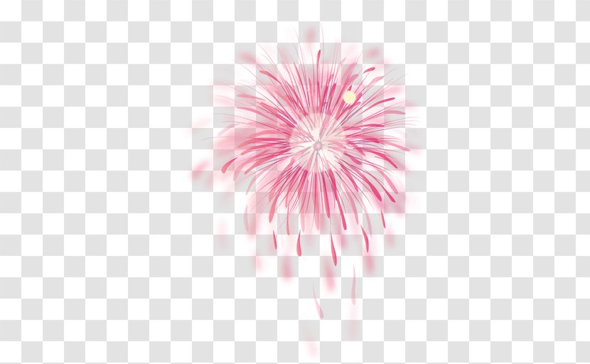 Pink Adobe Fireworks - Close Up Transparent PNG