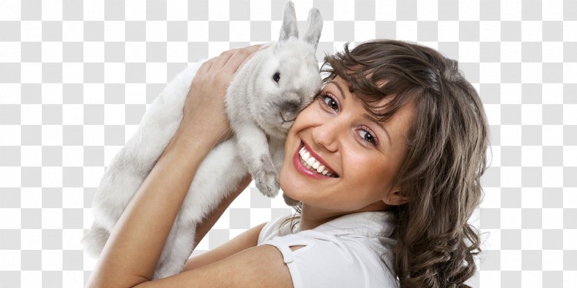 European Rabbit Veterinarian Photography Woman - Cartoon Transparent PNG