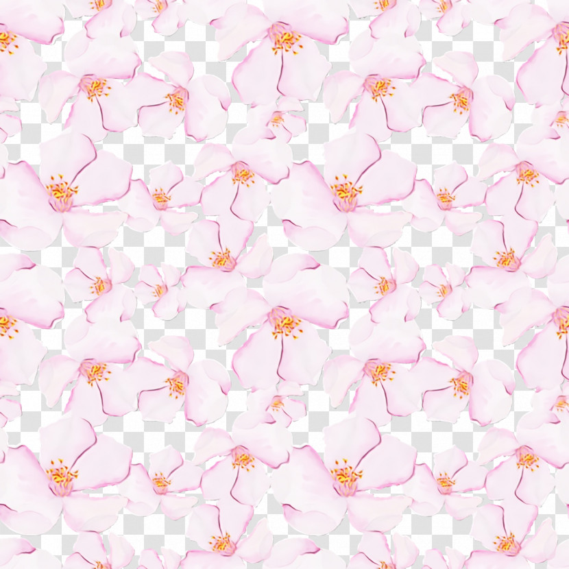 Cherry Blossom Transparent PNG