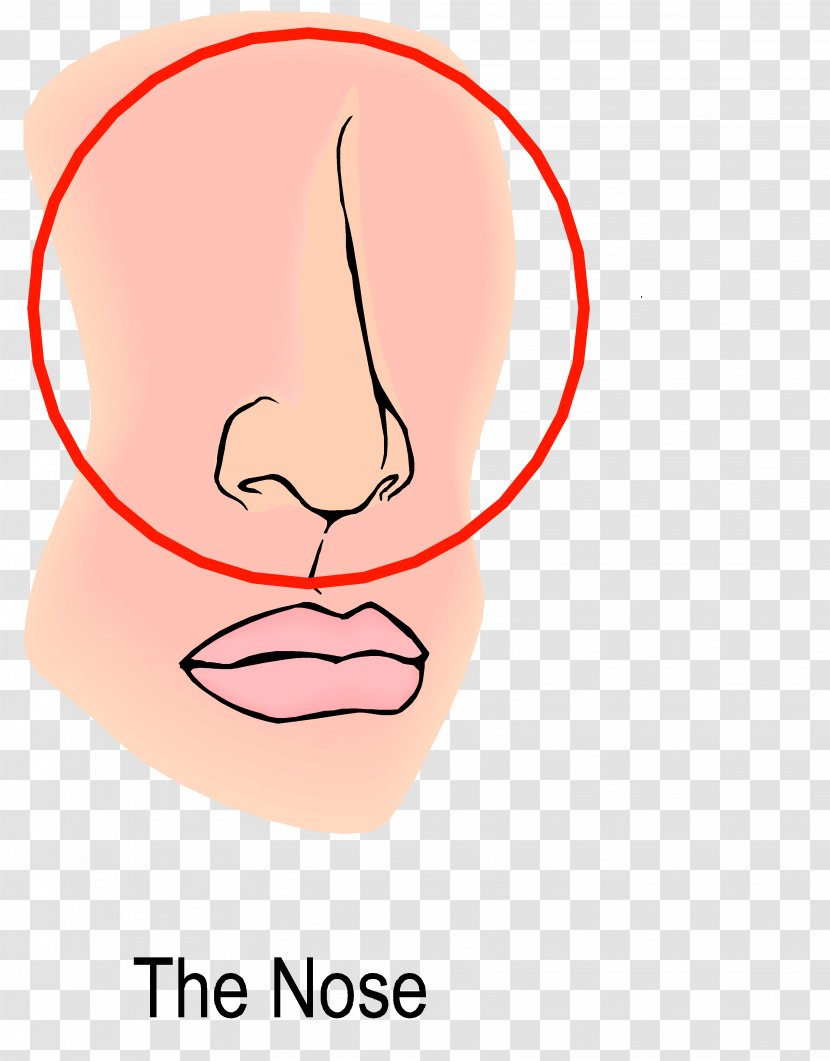 Pursed Lip Breathing Chronic Obstructive Pulmonary Disease Diaphragmatic Nose - Frame Transparent PNG