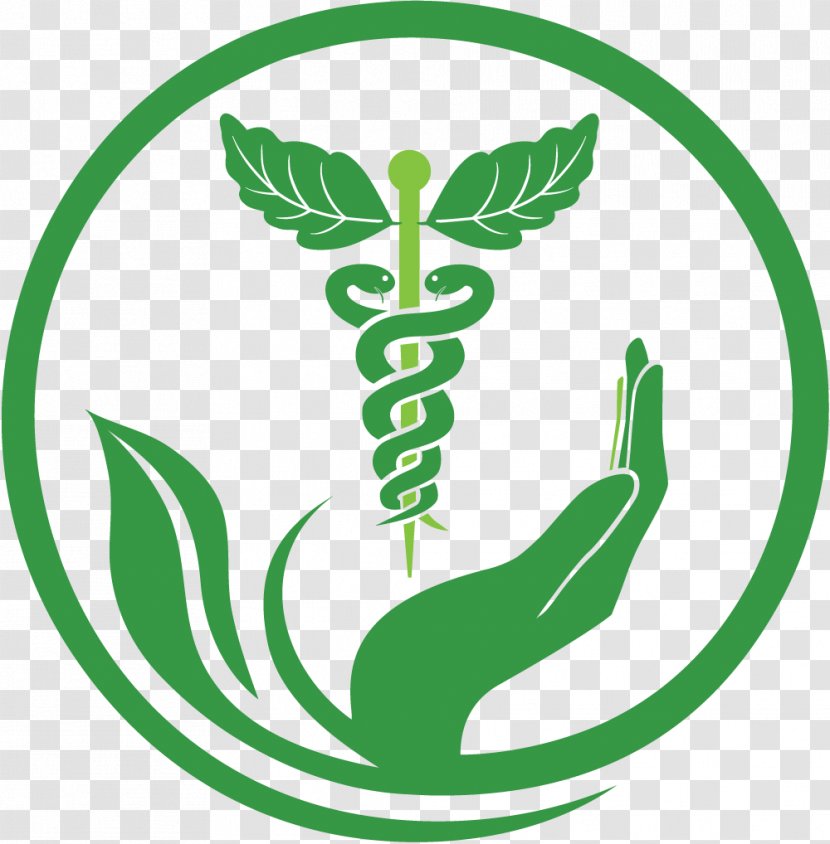Herbalism Medicine Alternative Health Services Naturopathy - Pharmacy Transparent PNG