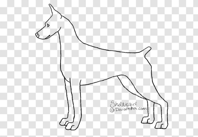 Dog Breed Line Art Transparent PNG