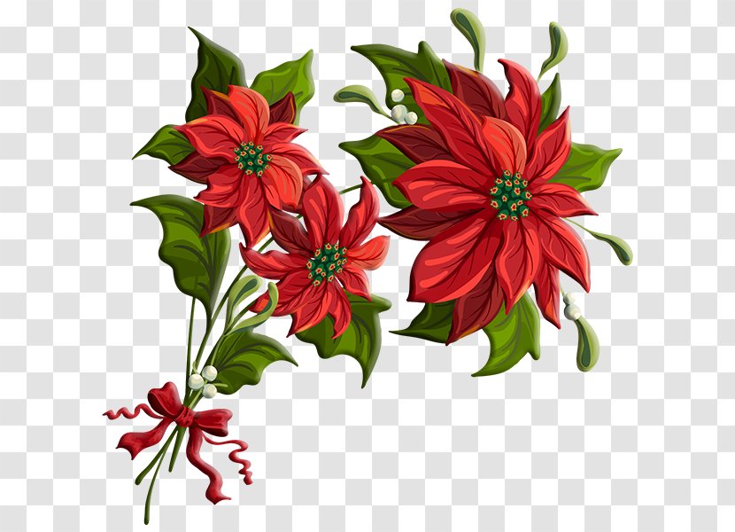 Poinsettia Art Clip - Drawing - Kitchen Border Transparent PNG