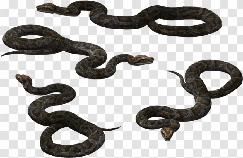 Cartoon Grass - Animal - Brown Snake Viper Transparent PNG