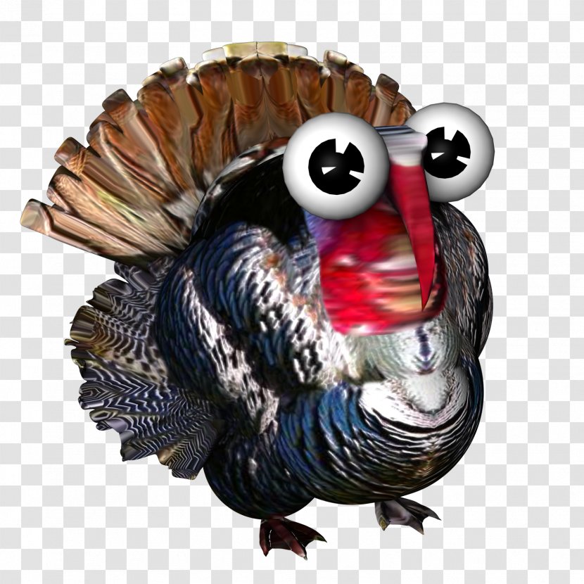 Farmerama Turkey Bigpoint Games Galliformes .de - Bird - Com Transparent PNG