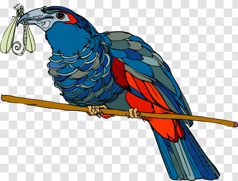 Bird Parrot Beak Feather Macaw - Dragonfly Transparent PNG