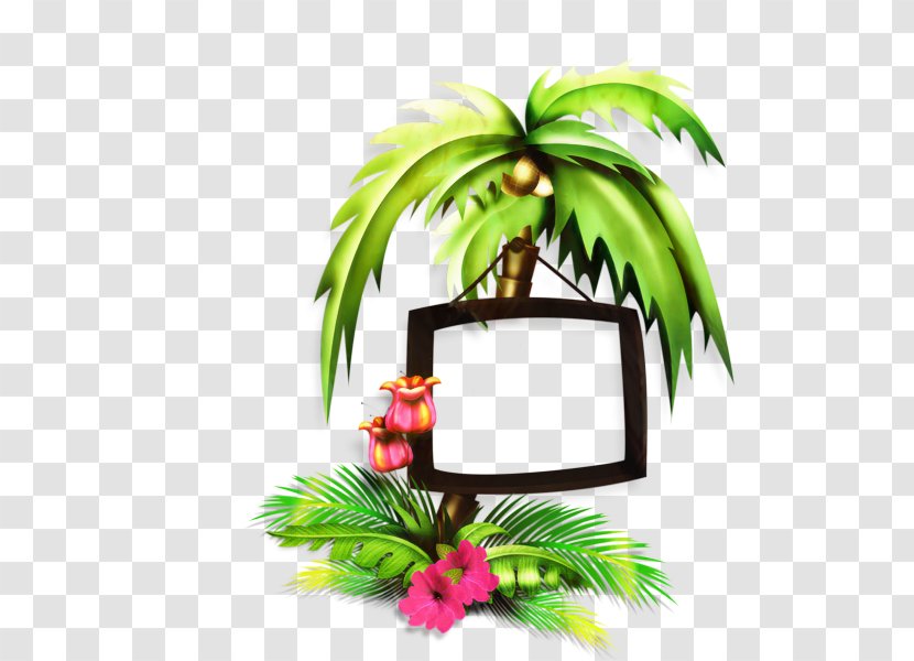 Palm Trees Leaf Clip Art - Tree - Elaeis Transparent PNG