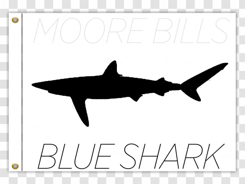 Shark Brand White Logo Clip Art - Fish Transparent PNG