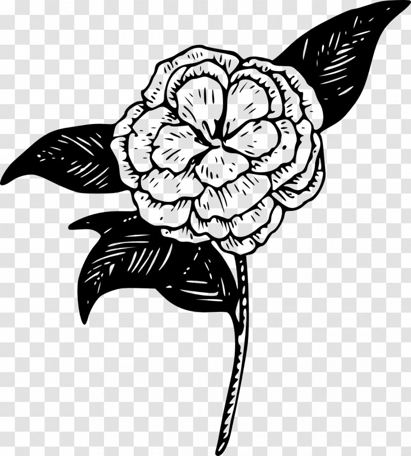 Drawing Begonia Clip Art - Fictional Character - Flower Black Transparent PNG