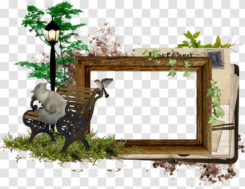 Picture Frames Photomontage Photography - Diary - Green Frame Transparent PNG
