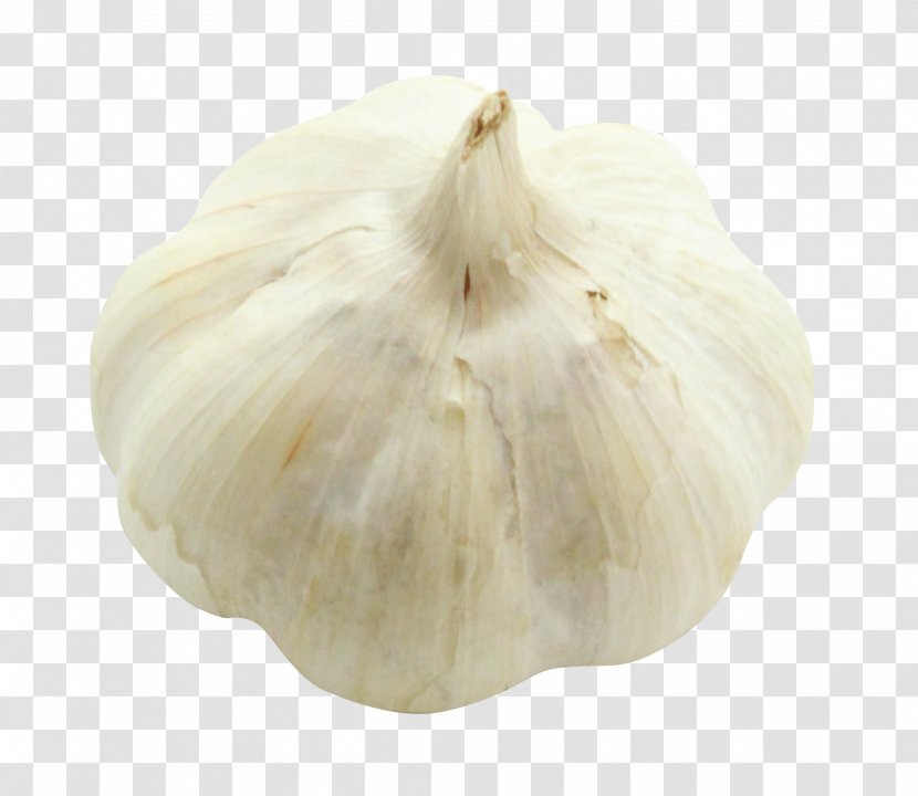 Garlic Bread Onion Elephant Vegetable - Cc0 Transparent PNG