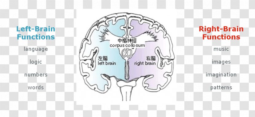 Brain Technology Font - Cartoon Transparent PNG