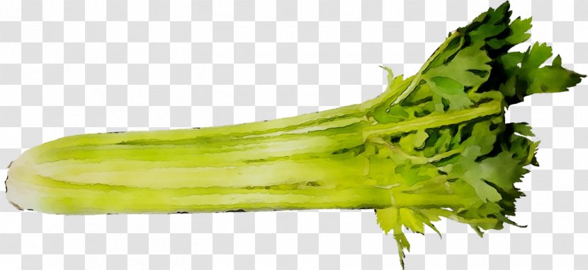 Broccoli Vegetarian Cuisine Rapini Food Celery - Vegetarianism Transparent PNG