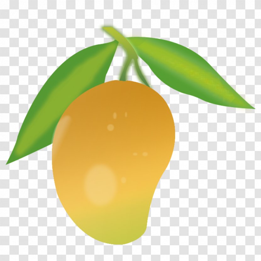 Mango Clip Art - Leaf - Green Transparent PNG