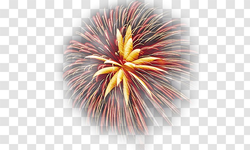 Fireworks - Drawing - Firecracker Transparent PNG