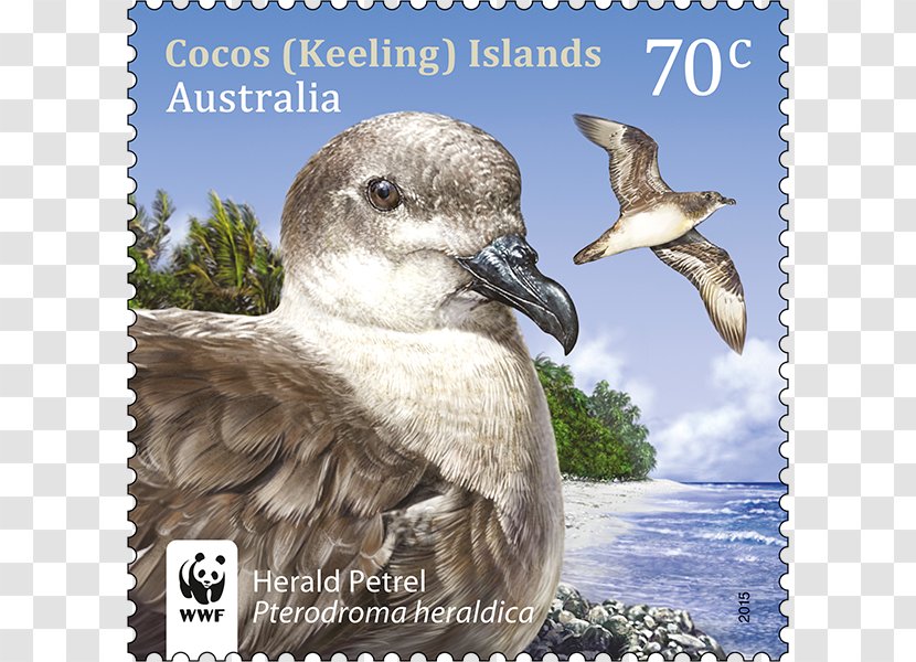 Birds Of Asia And Australia Cocos (Keeling) Islands Post Postage Stamps Postal History - Seabird - Wanted Transparent PNG