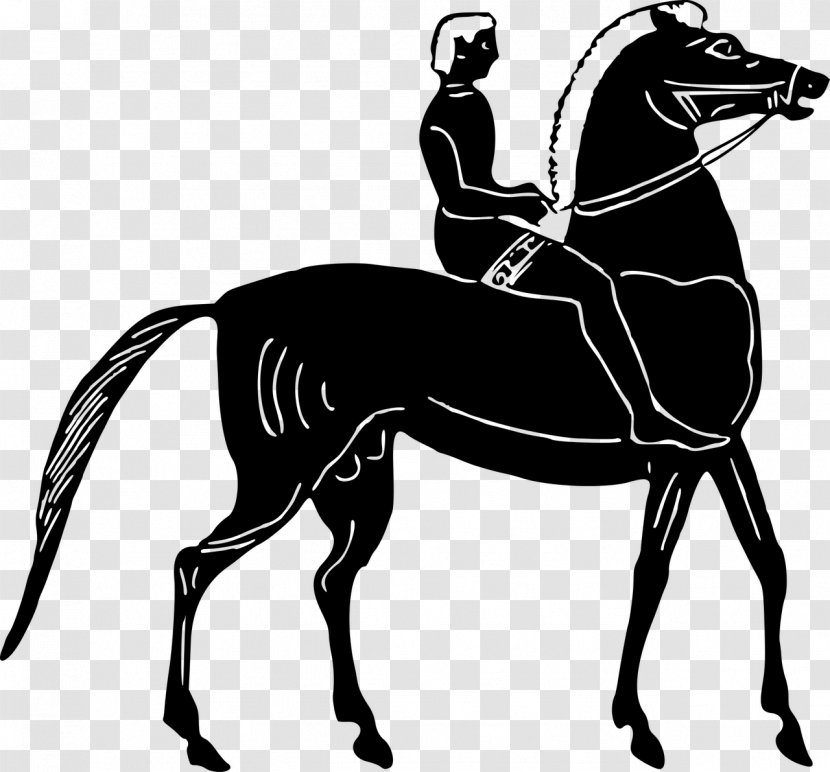 Horse Equestrian Clip Art - Sport Transparent PNG