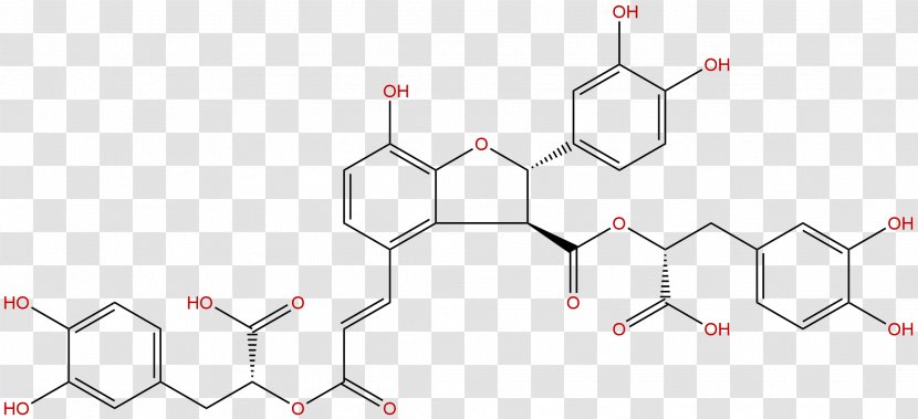 Tribendimidine Pharmaceutical Drug Dihydrochalcone Medicine Disease - Frame - Phytochemicals Transparent PNG