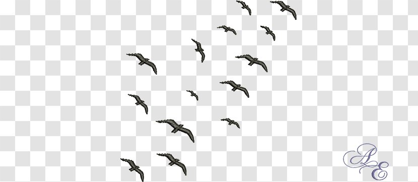 Flocking Bird Migration Swarm Behaviour - Animal Transparent PNG