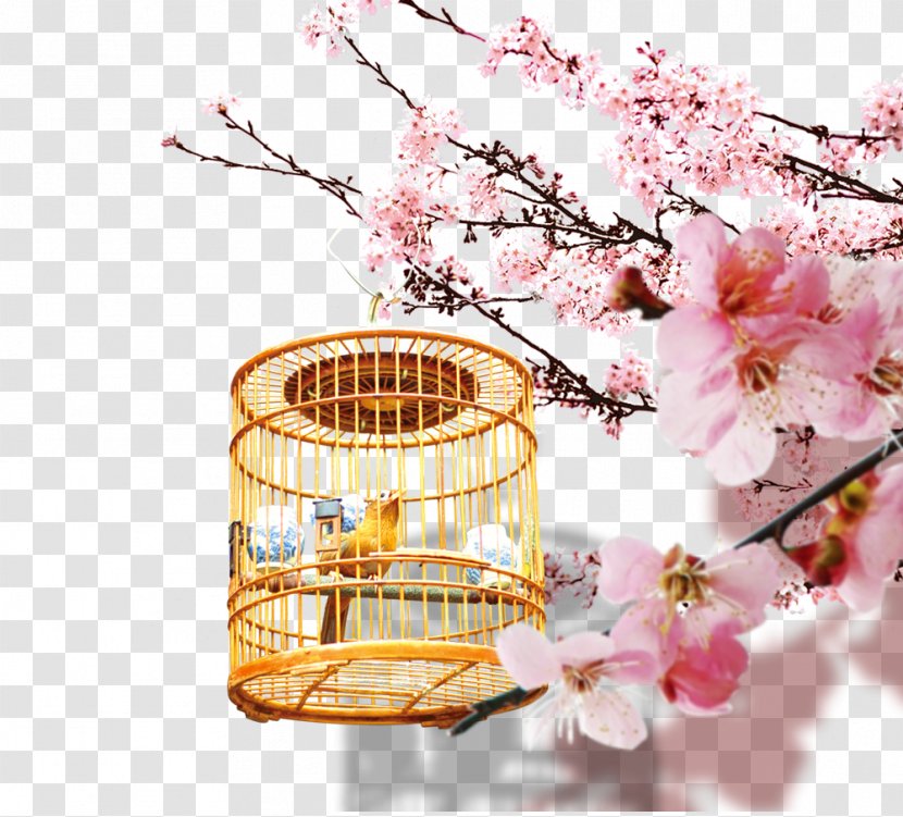 Bird Download Cherry Blossom Computer File - Flower - Peach Blossoms Transparent PNG