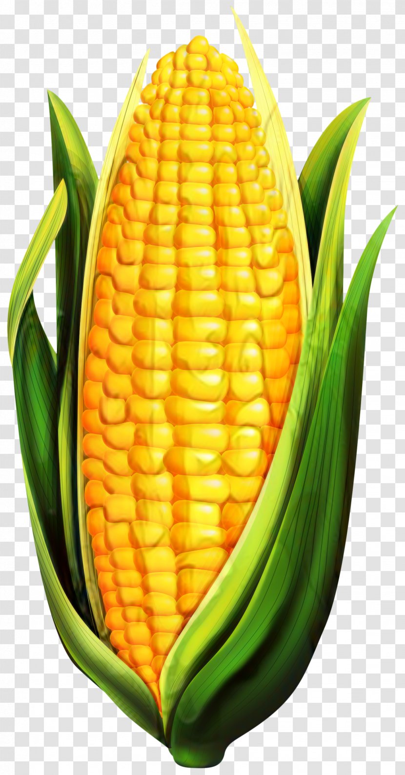 Corn On The Cob Sweet Pineapple Commodity Transparent PNG