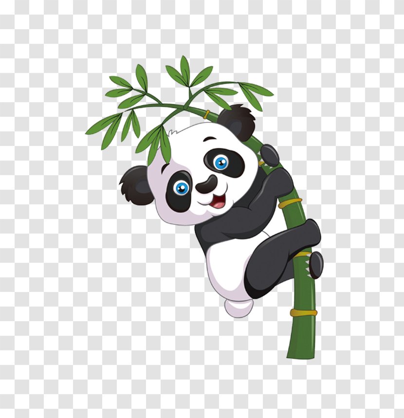Giant Panda Bear Cartoon Bamboo - Grass Transparent PNG
