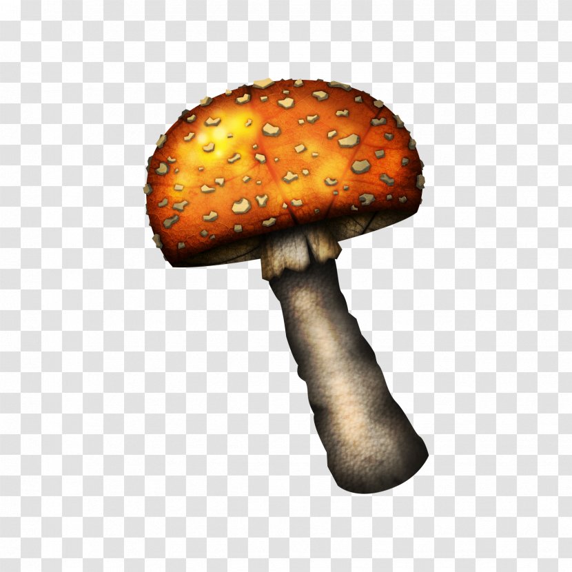 Edible Mushroom Clip Art - Fungus - Fungi Transparent PNG