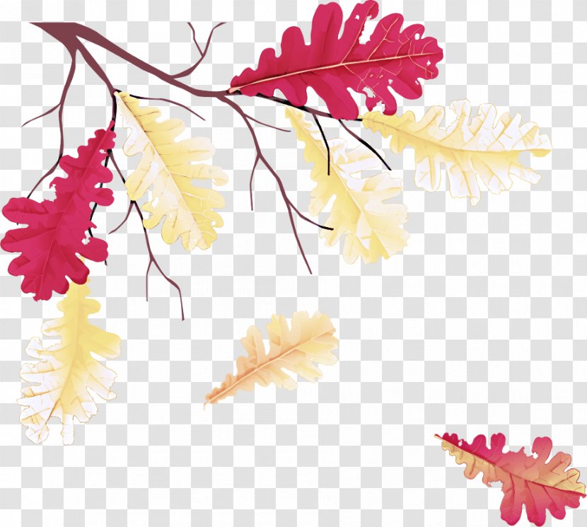 Leaf Yellow Tree Plant Clip Art - Twig Black Maple Transparent PNG