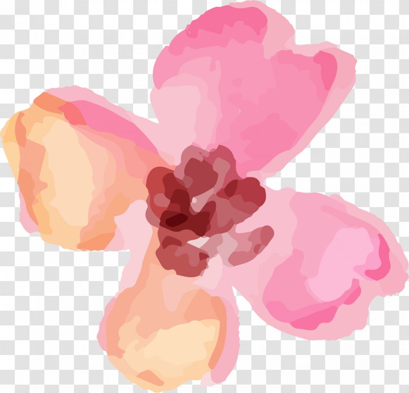 Flower Petal Watercolor Painting Valentine's Day Clip Art - Plant - Watercolour Transparent PNG