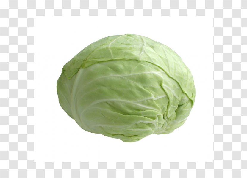 Savoy Cabbage Vegetable Food Cauliflower - Napa Transparent PNG