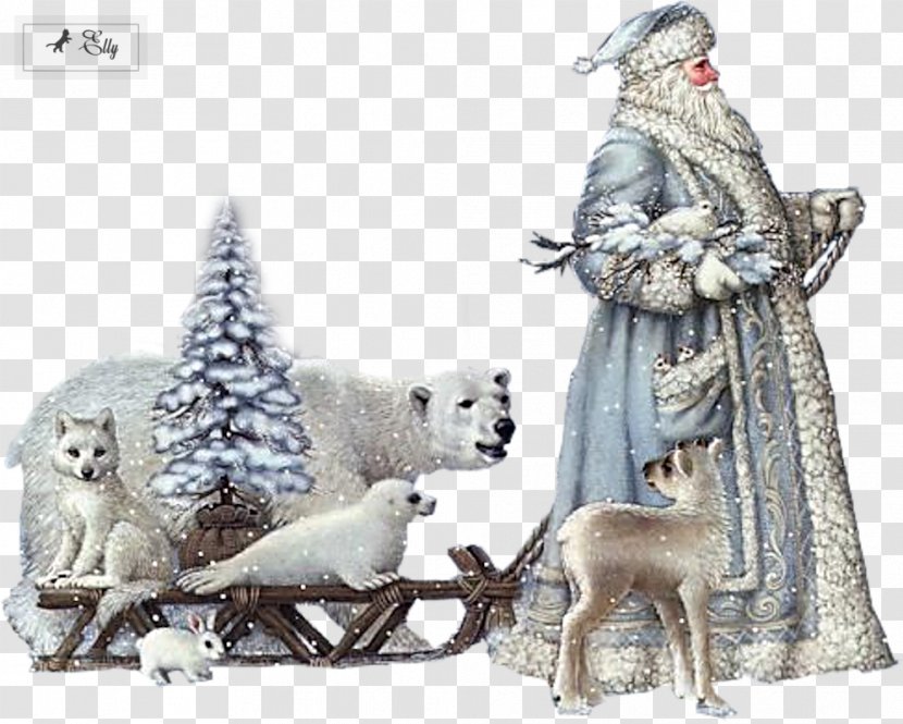 Ded Moroz Santa Claus Christmas New Year Grandfather - Fictional Character - Dreams Transparent PNG