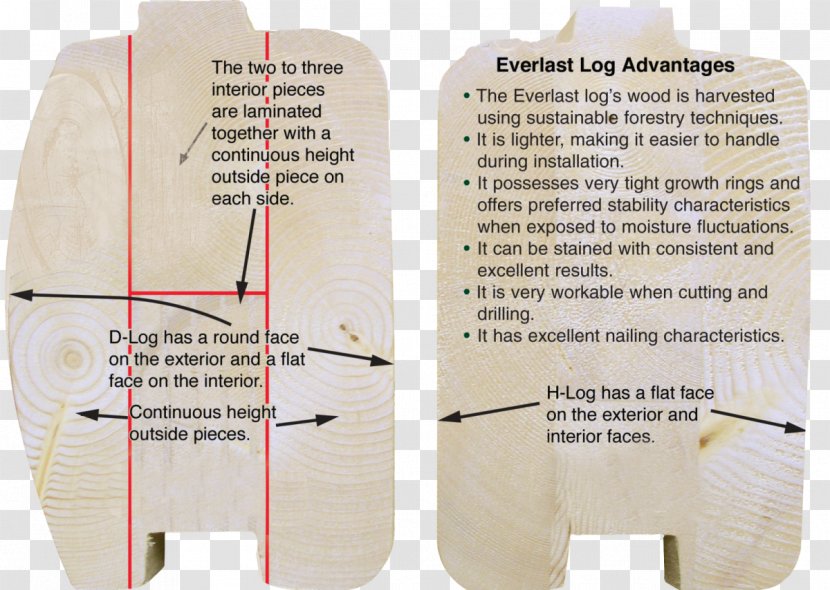 Material Kiln Wood - Text - Everlast Transparent PNG
